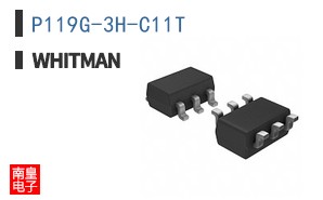 P119G-3H-C11T ͼƬ